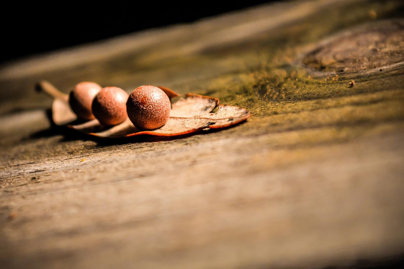 Sit dolores perspiciatis fugiat et error